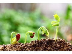 江門土壤檢測公司：土壤污染治理現(xiàn)狀、問題與對策研究